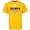Pittsburgh Steelers Super Bowl XLIII Champions Six-Burgh Gold T-shirt