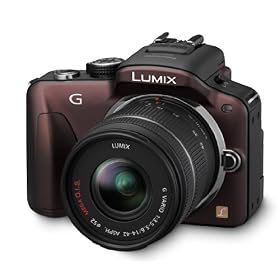 Panasonic LUMIX DMC-G3 16 MP Micro Four-Thirds Interchangeable Lens Camera with 3-Inch Free-Angle Touch-Screen LCD and 14-42mm Lumix G VARIO f/3.5-5.6 Lens
