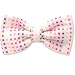 Glasgow Pretied Bowtie by Bowties Unlimited - White Silk