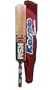 Kaspo Kashmir Willow Cricket Bat with Free Case