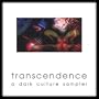 Transcendence