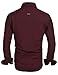 Hotouch Men's Regular Fit Dress Shirt Casual Button Down Shirt Wine Red L