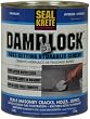 Damplock Hydraulic Cement 3 lbs.