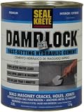 Damplock Hydraulic Cement 3 lbs.