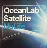 Satellite