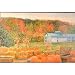 Howard Newman Original Landscape Painting PUMPKINS Art