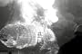 Hindenburg Explosion Video & Hindenburg Crash Footage (1937) DVD - The LZ-129 Zepplin Airship Disaster at Lakehusrt
