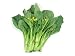 Choy Sum, a Kind of Chinese Vegetable - 24