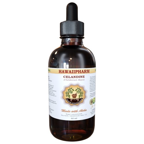 Celandine (Chelidonium Majus) Liquid Extract Tincture 2 oz