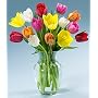 Multi-Colored Valentine's Tulips by Proflowers