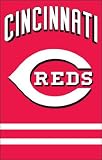 MLB Cincinnati Reds Applique Banner Flag