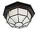 Trans Globe Lighting Trans Globe Imports 40582 RT Traditional One Light Flushmount Lantern from Benkert Collection in Bronze/Dark Finish, 11.00 inches, 5-Inch, Rust