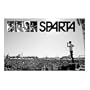 (24x36) Sparta (Performing in front of Crowd) Music Poster Print