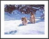 Cautious Approach by Banovich 34.00X26.00 Framed with Black Metal Frame