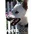 White dog