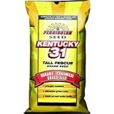 41sHET4US8L. SL160  Pennington Seed Inc 147894 Kentucky 31 Grass Seed