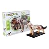 Revell 02093 - x-ray - Hund