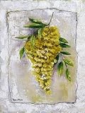 Art Poster Print - Yellow Laburnum - Artist: Rian Withaar - Poster Size: 12 X 16 inches