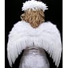 FashionWings (TM) White Costume Feather Wings & Halo Teens & Adults Angel Fairy Nymph Cosplay.
