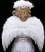 White Costume Feather Wings & Halo Teens & Adults Angel Fairy Nymph Cosplay.