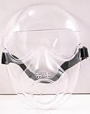 AS88: The Survivor Clear Face Guard/Mask:Safety:Airsoft