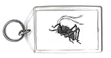 Keychain with mormon, insect, bug, grey, cricket