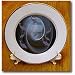 Dolphins - A - 8 Inch Porcelain Plate