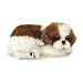Perfect Petzzz Shih Tzu