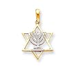 14k Two-tone Solid Menorah in Star of David Pendant