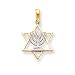 14k Two-tone Solid Menorah in Star of David Pendant
