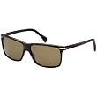 Tommy Hilfiger 1016/S Men's Outdoor Sunglasses - Dark Havana/Gold/Brown