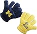 Michigan Wolverines Spirit Hand