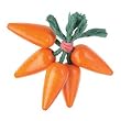 HABA Bunch of Carrots