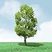 JTT Scenery Pro-Elite Tree, Birch 8