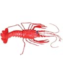 9-inch Rubber Lobster
