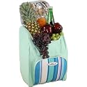 Cool Bag Backpack Large Family Sized Holds 25 Ltr in Blue