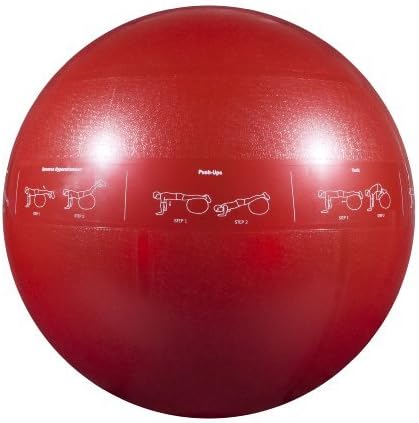 GoFit Professional Stability Ball by GoFit