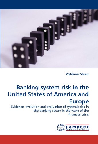Banking system risk in the United States of America and Europe: Evidence, evolution and evaluation of systemic risk in the banking sector in the wake of the financial crisis