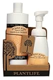 Value Set Vanilla Orange Foam Soap