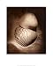Cockles - Laurel Wade Art Print Poster 16 x 20