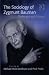Book The Sociology of Zygmunt Bauman: Challenges and Critique