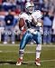 Brian Griese Miami Dolphins 8x10 Photo