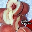 Arctic Supreme Peach Tree, Five Gallon Container