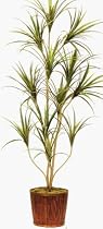 66" Outdoor Plastic Yucca Plant