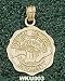 Western Kentucky Seal Charm/Pendant -14K/10K, Stainless Steel or Gold Plated