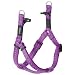 Rogz Reflective 5/8-Inch Snake Dog Step-in Harness, Small to Medium Adjustable, Purple