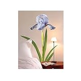 Plage® Iris