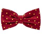 IMAGE OF Men's Dots Pretied Silk Bowtie by Principessa in Crimson / Gold