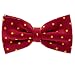 Men's Dots Pretied Silk Bowtie by Principessa in Crimson / Gold