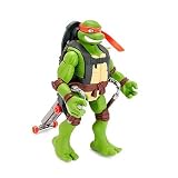 Teenage Mutant Ninja Turtles: Street Grindin Mike